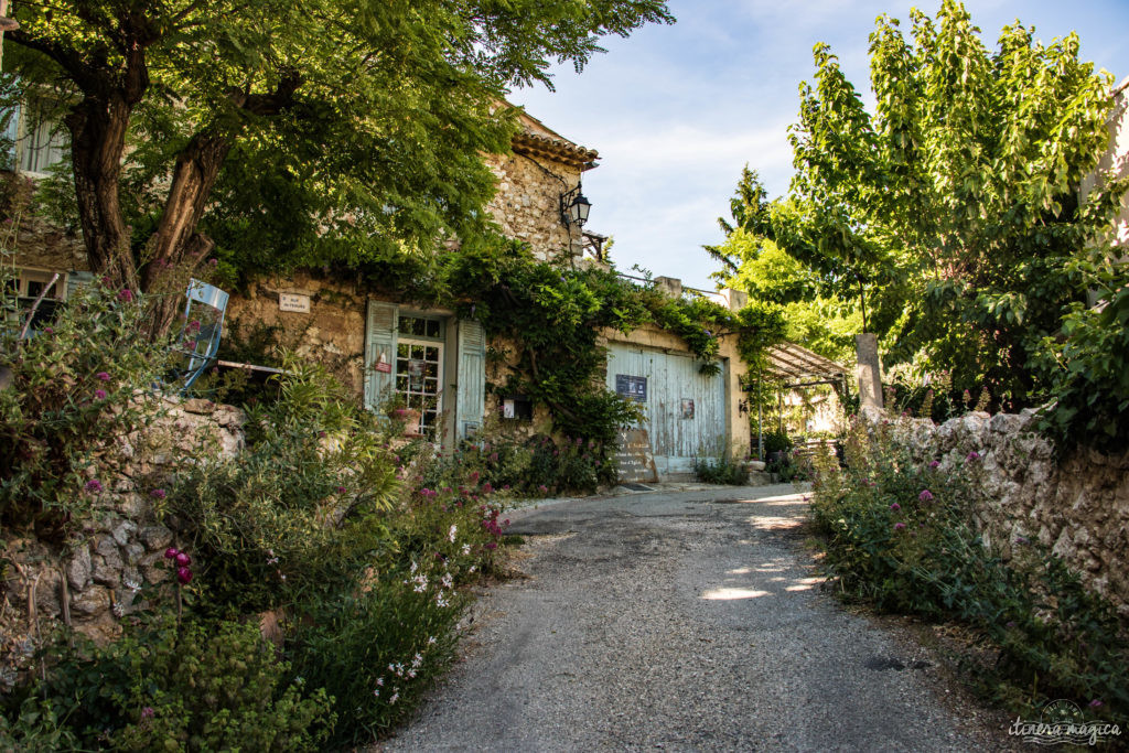 Découvrir le Vaucluse à vélo : au coeur de la Provence, entre Ventoux et Dentelles.