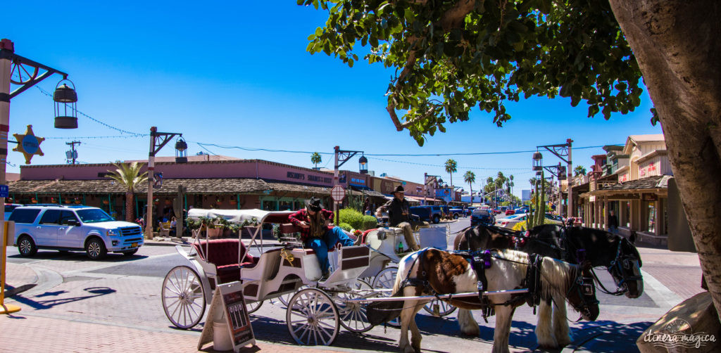 L'Apache Trail ? Une piste aussi mythique que la route 66, qui serpente dans le désert d'Arizona, et charrie toute la légende de l'Ouest ! Partez pour un road trip au pays des cactus, avec Itinera Magica.