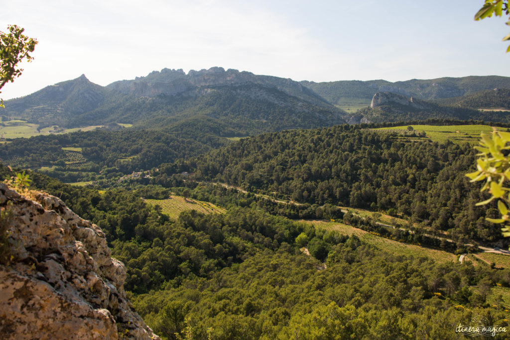 Découvrir le Vaucluse à vélo : au coeur de la Provence, entre Ventoux et Dentelles.