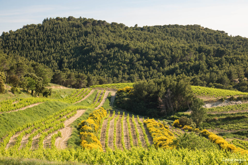 Découvrir le Vaucluse à vélo : au coeur de la Provence, entre Ventoux et Dentelles.