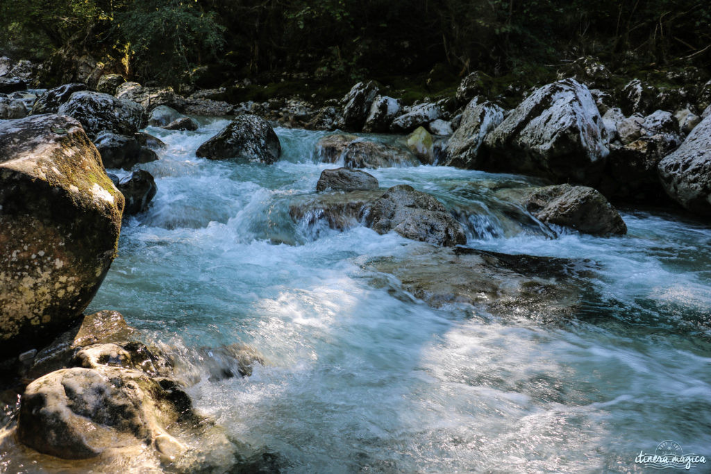 Que voir dans le Vercors et le Royans? Randonnées secrètes, cascades émeraude, routes vertigineuses, patrimoine rare, découvrez les secrets du Vercors.