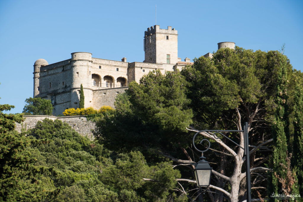 Découvrir le Vaucluse à vélo : au coeur de la Provence, entre Ventoux et Dentelles.