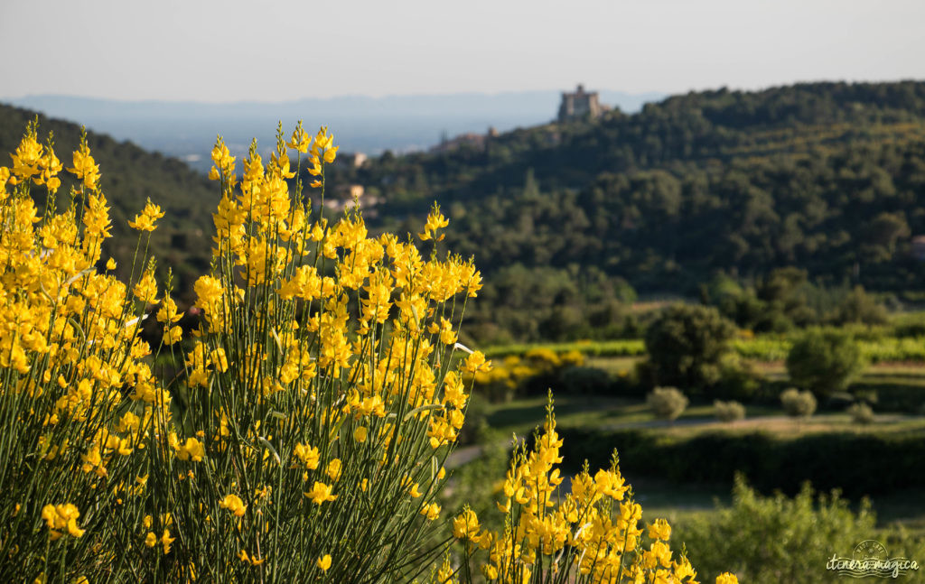 Découvrir le Vaucluse à vélo : au coeur de la Provence, entre Ventoux et Dentelles.