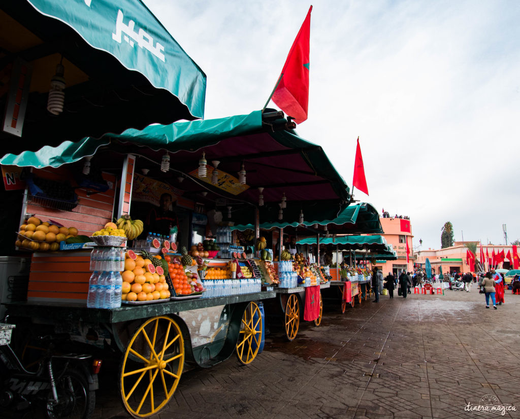 Marrakech : le guide ultime. Que voir, que faire à Marrakech ? Les incontournables.