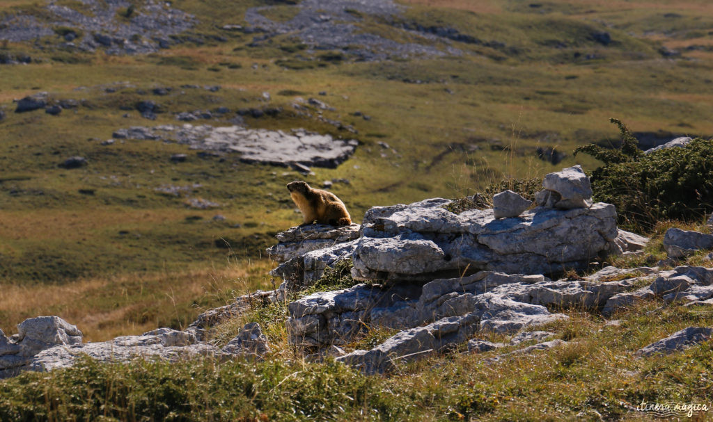 que voir dans le vercors et le royans