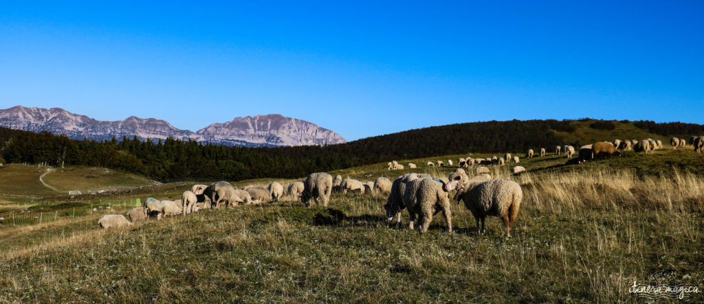 que voir dans le vercors et le royans