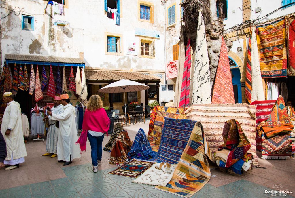 Que voir à Essaouira ? Médina, Mogador, Sqala, chats