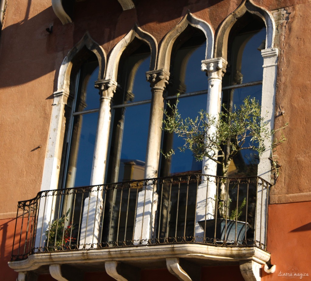 An olive tree on a balcony.