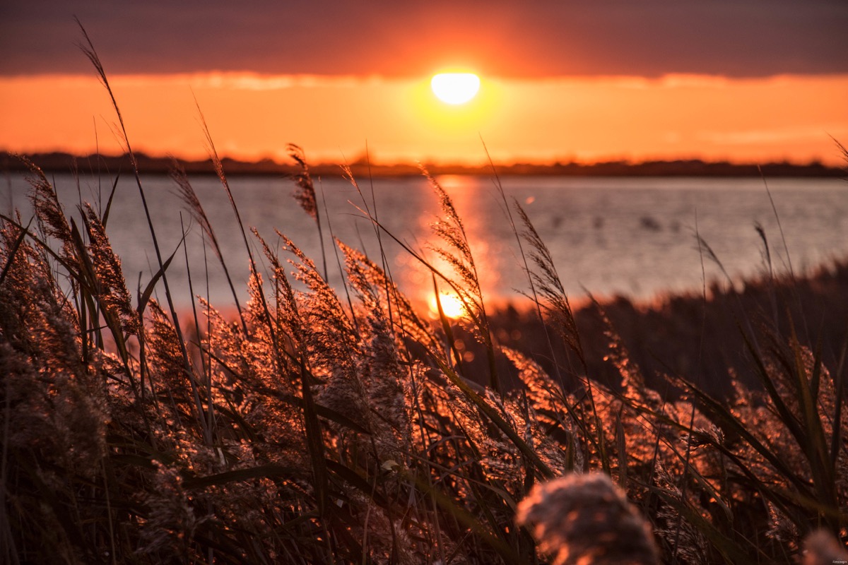 Où voir les flamants roses en Camargue ? Les plus beaux couchers de soleil ? Que voir en Camargue ? Blog photo #Camargue