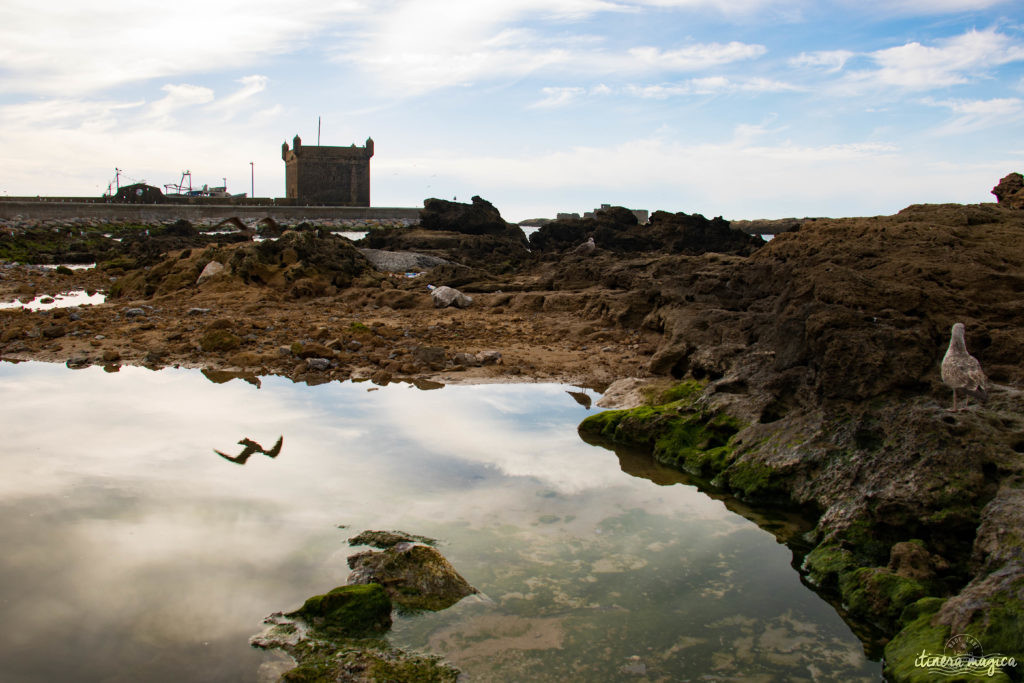 Les plus beaux lieux de tournage de Game of Thrones au Maroc ? Essaouira, Ait-Ben-Haddou 