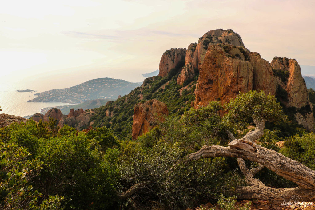 Les plus beaux points de vue de l'Estérel : panoramas et randonnées, découvrez Saint Raphaël en beauté.