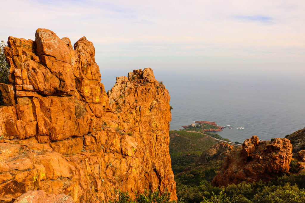 Wild wild Provence.