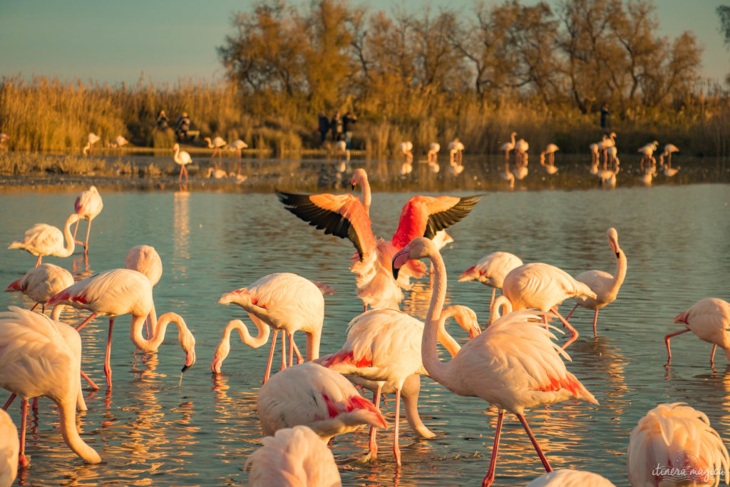 plus beaux sites naturels de provence