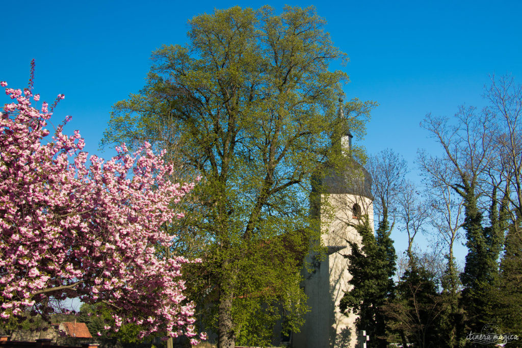 De Weimar à Iéna en passant par le château de Novalis, venez découvrir le coeur de l'Allemagne romantique sur Itinera Magica !