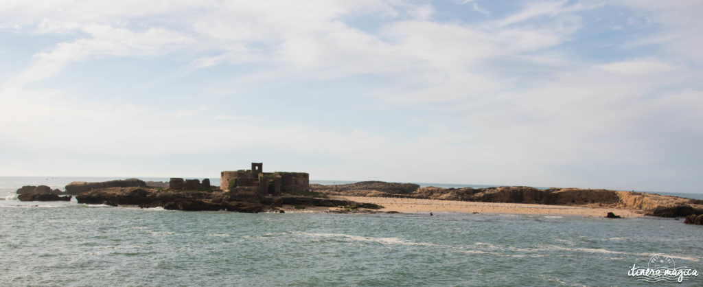 Que voir à Essaouira ? Iles purpuraires, îles de Mogador