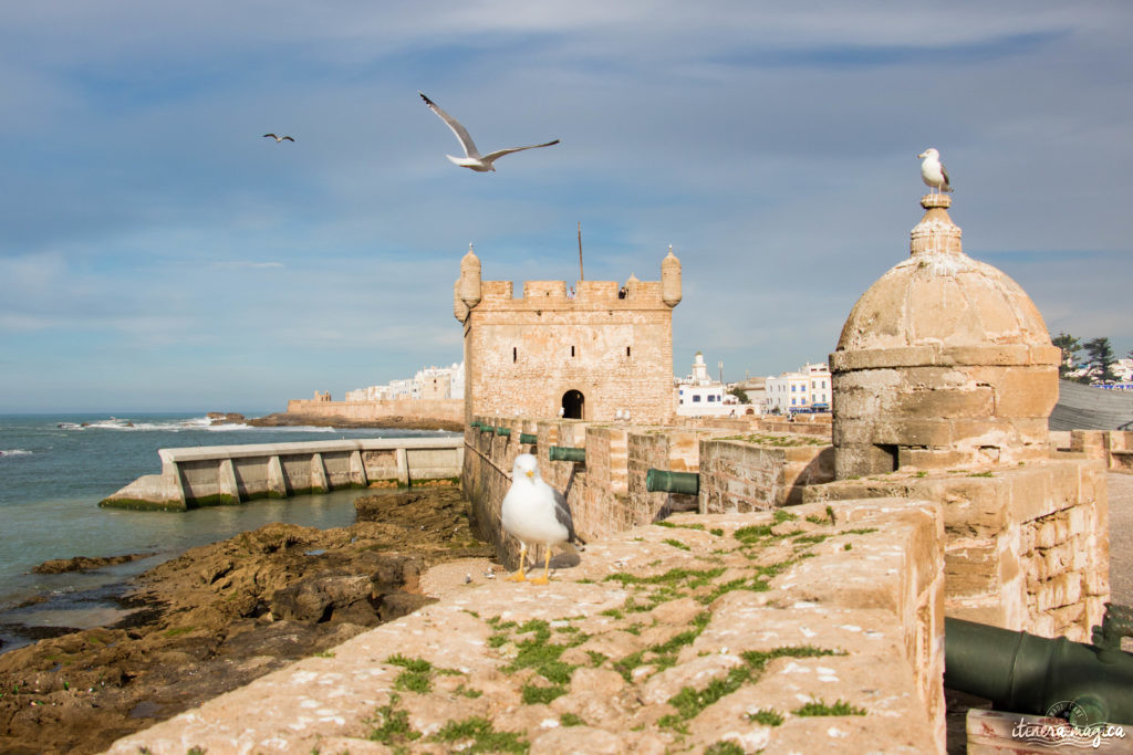 Que voir à Essaouira ?