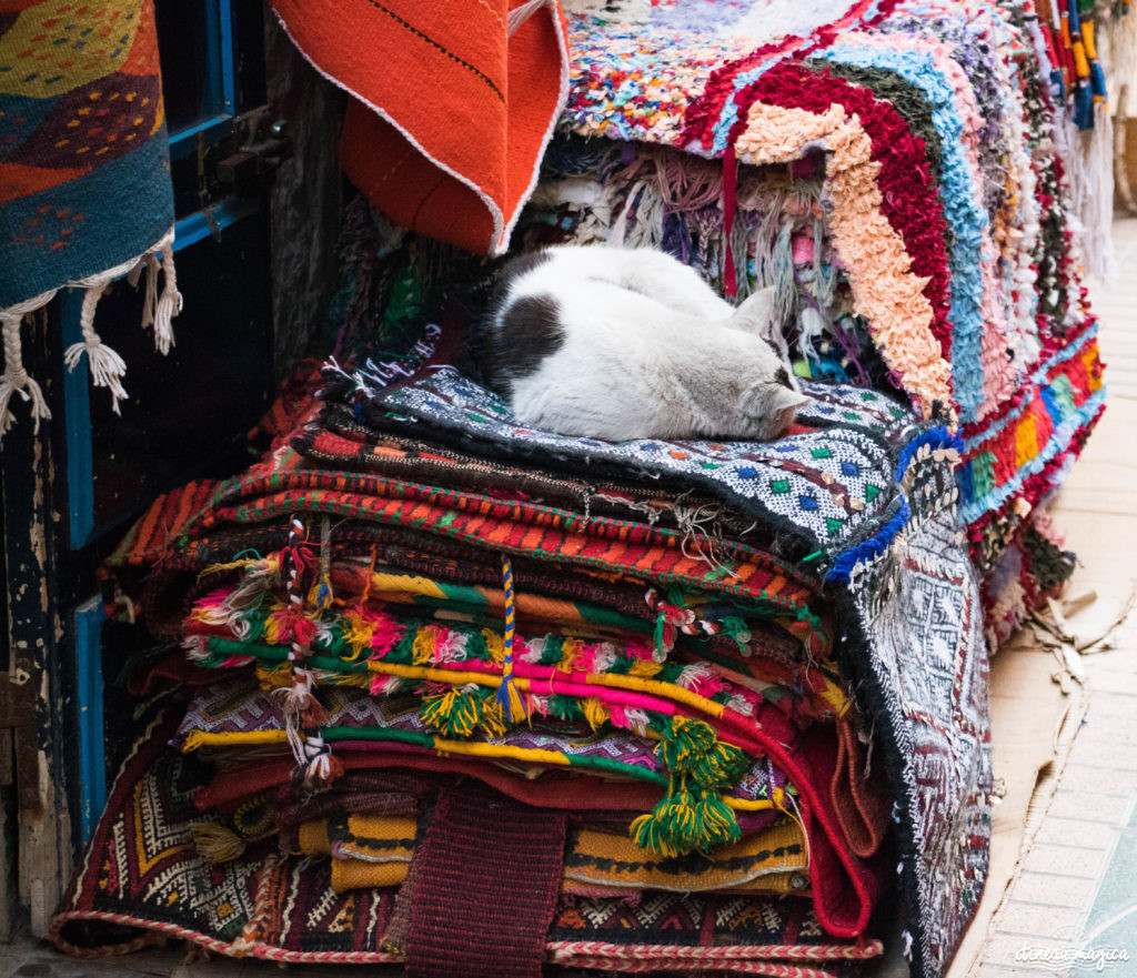 Les plus beaux lieux de tournage de Game of Thrones au Maroc ? Essaouira, Ait-Ben-Haddou 