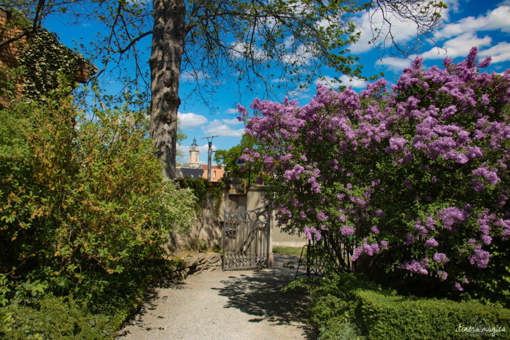 De Weimar à Iéna en passant par le château de Novalis, venez découvrir le coeur de l'Allemagne romantique sur Itinera Magica !