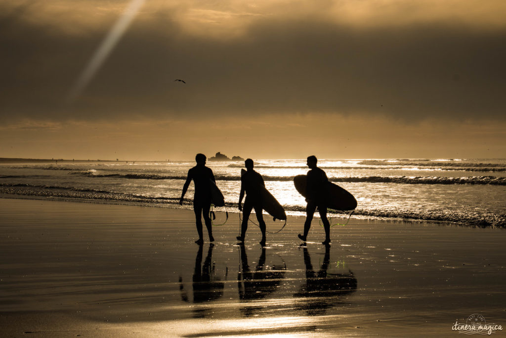 Que voir à Essaouira ? Surfeurs à Essaouira