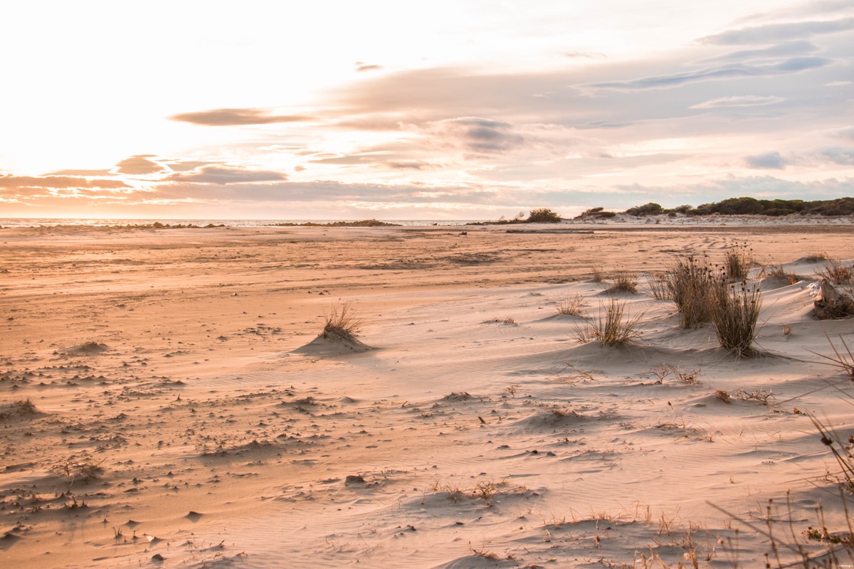 Où voir les flamants roses en Camargue ? Les plus beaux couchers de soleil ? Que voir en Camargue ? Blog photo #Camargue