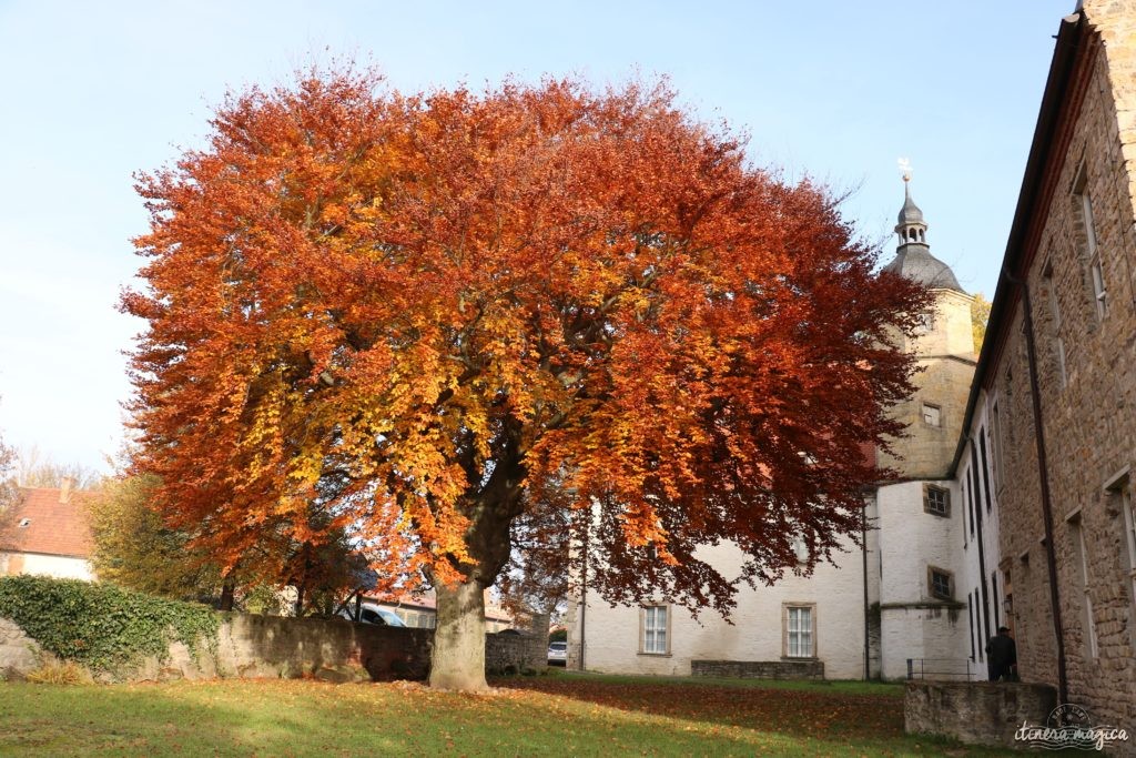 De Weimar à Iéna en passant par le château de Novalis, venez découvrir le coeur de l'Allemagne romantique sur Itinera Magica !