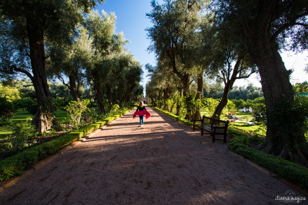 Marrakech : le guide ultime. Que voir, que faire à Marrakech ? Les incontournables.