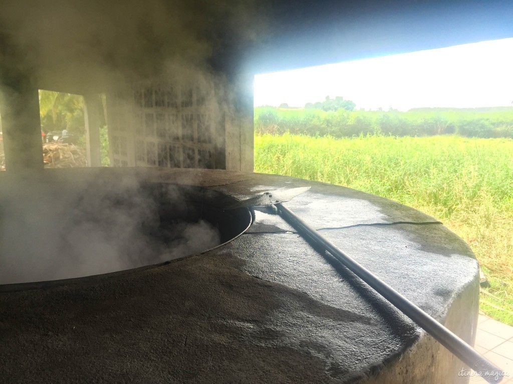 Fabrication de sirop de batterie à Marie-Galante.