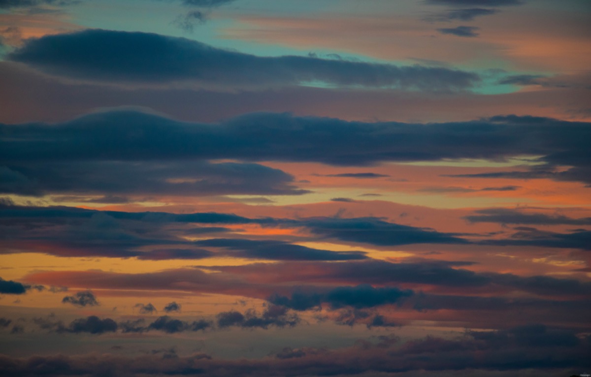 Où voir les flamants roses en Camargue ? Les plus beaux couchers de soleil ? Que voir en Camargue ? Blog photo #Camargue