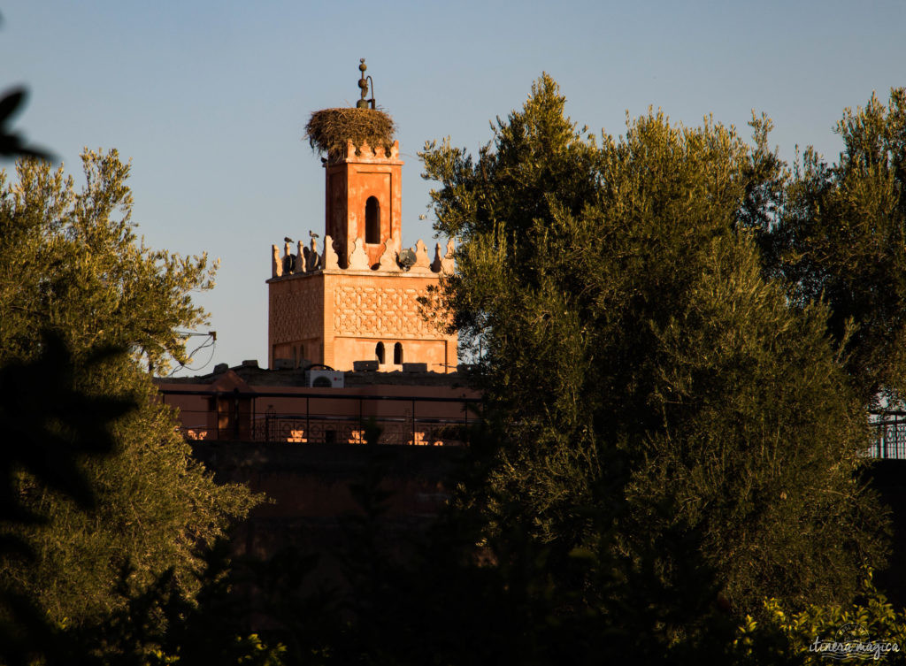 Marrakech : le guide ultime. Que voir, que faire à Marrakech ? Les incontournables.