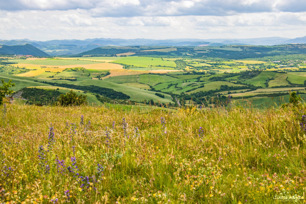 Que faire et que voir dans le sud de l’Aveyron ? Itinéraires, activités, points de vue, incontournables autour de Millau, Roquefort, sur le Larzac.