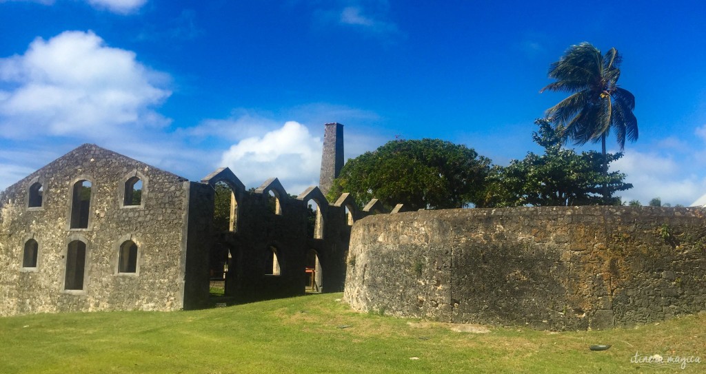 mémoire guadeloupe esclavage esclave route de l'esclave