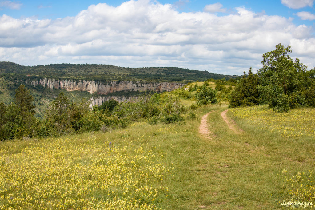 Que faire et que voir dans le sud de l’Aveyron ? Itinéraires, activités, points de vue, incontournables autour de Millau, Roquefort, sur le Larzac.