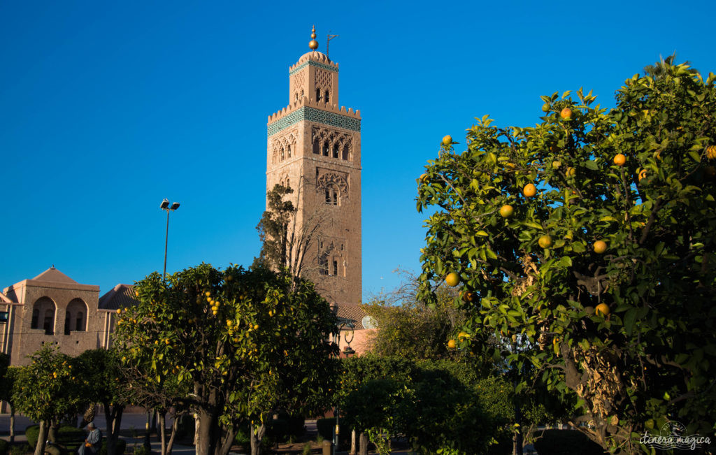 Marrakech : le guide ultime. Que voir, que faire à Marrakech ? Les incontournables.