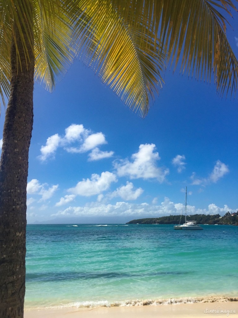 Paradis guadeloupéen.