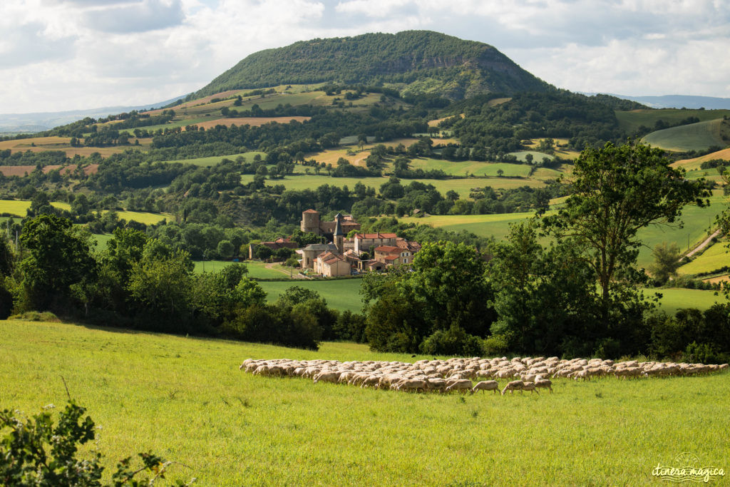 Que voir et que faire en Aveyron ?