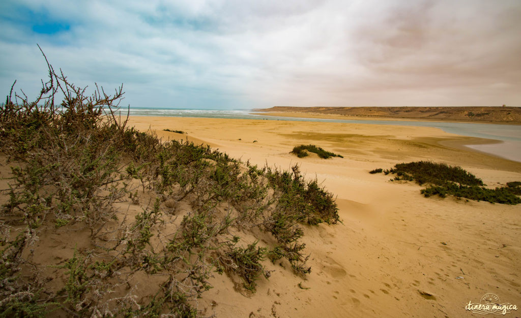 Au coeur du grand sud marocain, Tan-Tan est la porte du Sahara. Entre dunes de sable et océan, les peuples du désert se réunissent chaque mois de mai. Tourbillon de couleurs sur Itinera Magica.