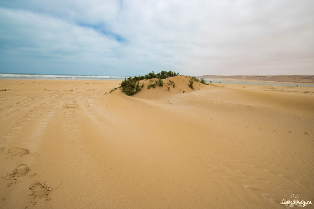 Au coeur du grand sud marocain, Tan-Tan est la porte du Sahara. Entre dunes de sable et océan, les peuples du désert se réunissent chaque mois de mai. Tourbillon de couleurs sur Itinera Magica.