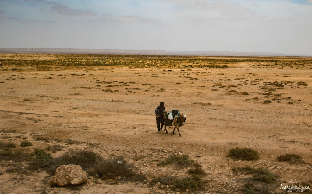 Au coeur du grand sud marocain, Tan-Tan est la porte du Sahara. Entre dunes de sable et océan, les peuples du désert se réunissent chaque mois de mai. Tourbillon de couleurs sur Itinera Magica.