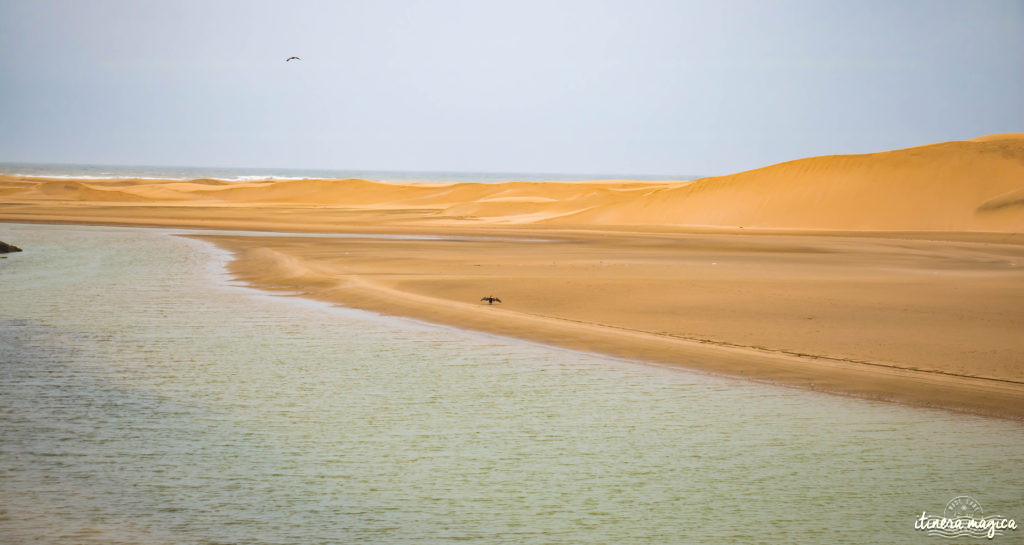 Au coeur du grand sud marocain, Tan-Tan est la porte du Sahara. Entre dunes de sable et océan, les peuples du désert se réunissent chaque mois de mai. Tourbillon de couleurs sur Itinera Magica.