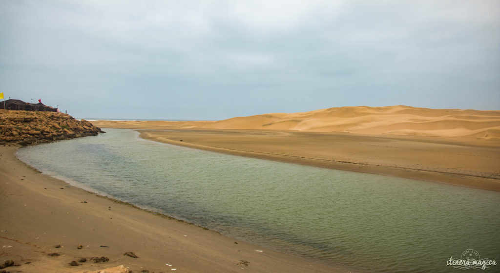 Au coeur du grand sud marocain, Tan-Tan est la porte du Sahara. Entre dunes de sable et océan, les peuples du désert se réunissent chaque mois de mai. Tourbillon de couleurs sur Itinera Magica.