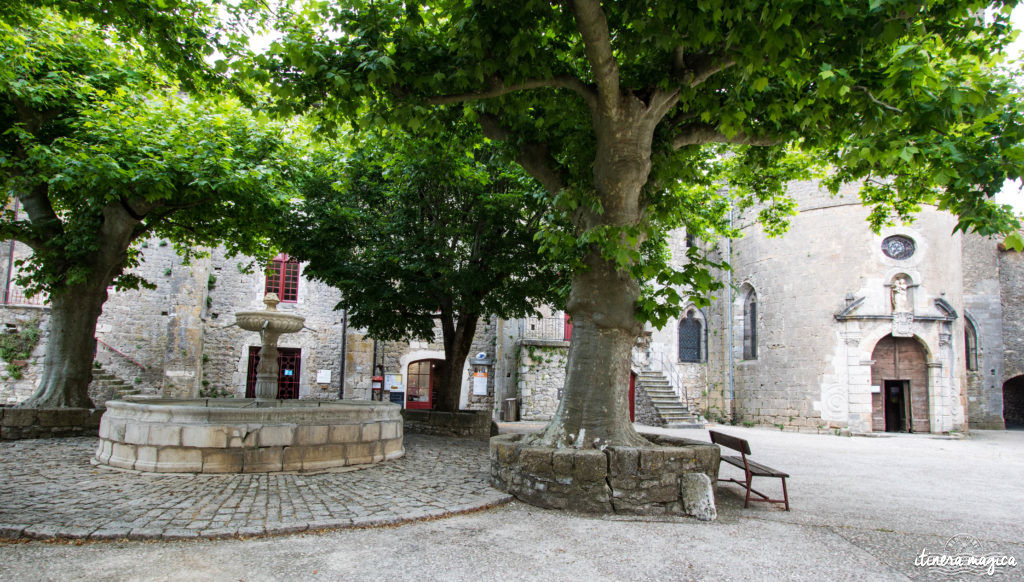 Que faire et que voir dans le sud de l’Aveyron ? Itinéraires, activités, points de vue, incontournables autour de Millau, Roquefort, sur le Larzac.