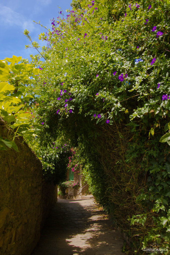 Un des plus beaux villages de la Côte d'Azur, une plage paradisiaque et la beauté du sentier du littoral : venez découvrir Bormes-les-Mimosas sur Itinera Magica