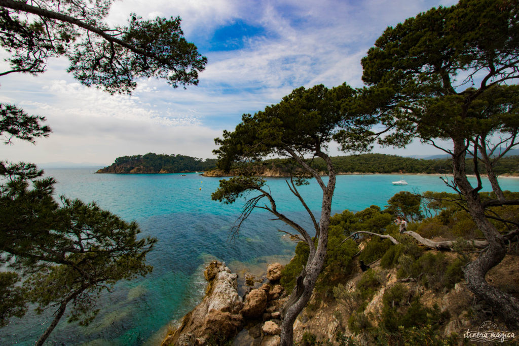 Découvrez le sentier du littoral, la plage de l'Estagnol et le fort de Brégançon sur Itinera Magica : la côte d'Azur dans toute sa splendeur !