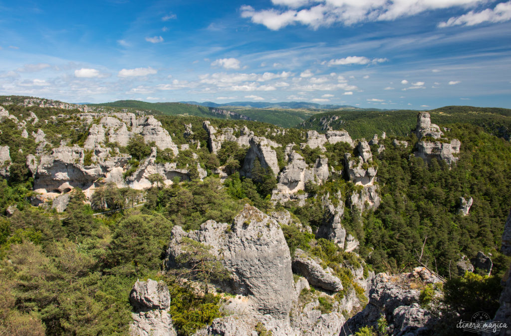 Que faire et que voir dans le sud de l’Aveyron ? Itinéraires, activités, points de vue, incontournables autour de Millau, Roquefort, sur le Larzac.