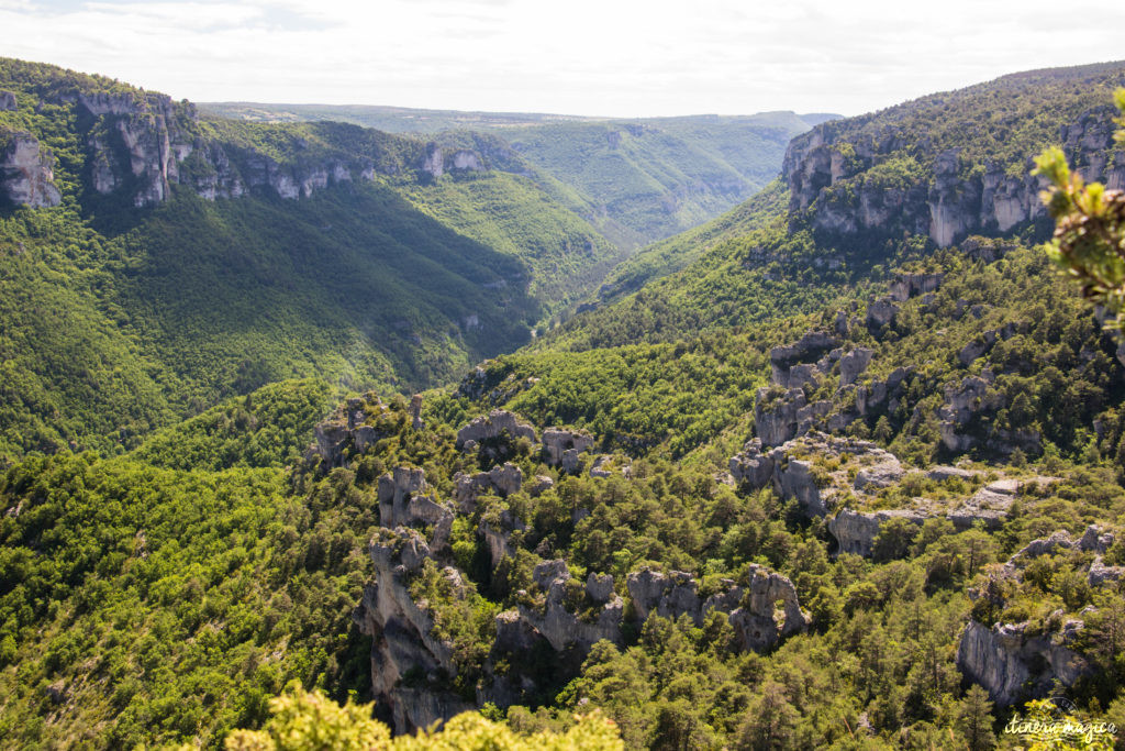 Que faire et que voir dans le sud de l’Aveyron ? Itinéraires, activités, points de vue, incontournables autour de Millau, Roquefort, sur le Larzac.