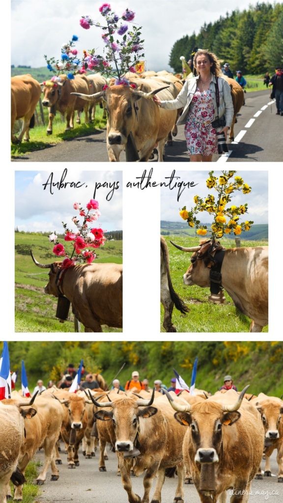 Visiter Millau et visiter Rodez en Aveyron : made in France, savoir faire et bonnes adresses