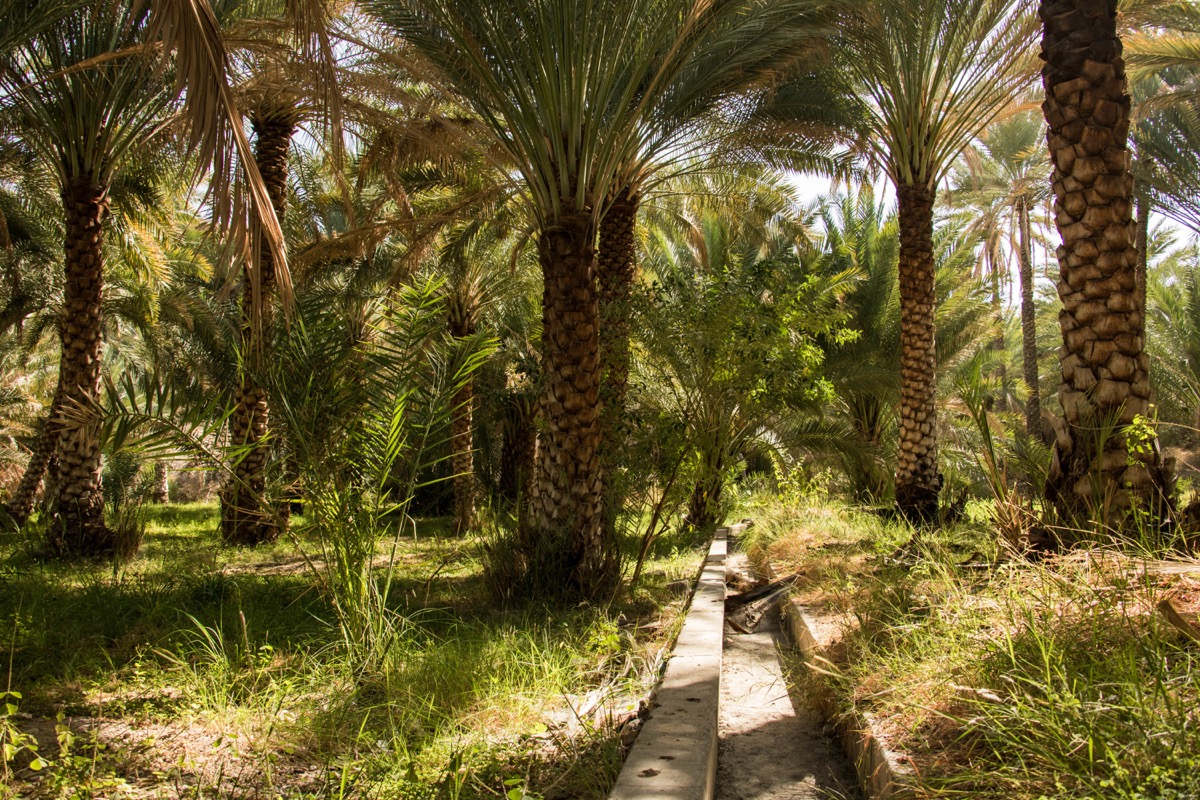 Les plus beaux paysages d'Oman : mes incontournables pour organiser votre voyage à Oman, la perle du Moyen Orient.