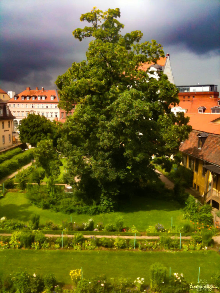 De Weimar à Iéna en passant par le château de Novalis, venez découvrir le coeur de l'Allemagne romantique sur Itinera Magica !