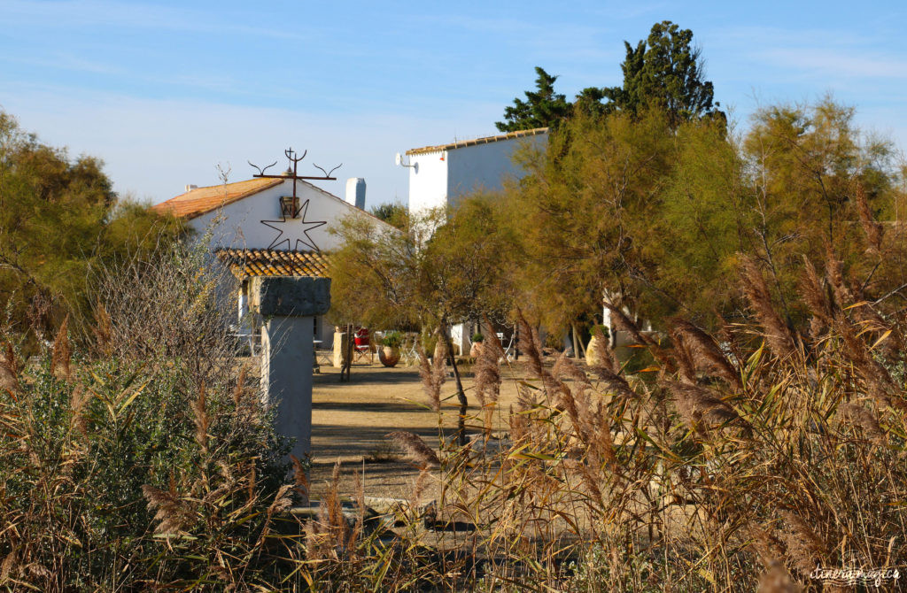 Que faire en Camargue ? Balades à cheval, bonnes adresses, incontournables, retrouvez tout sur le Camargue.