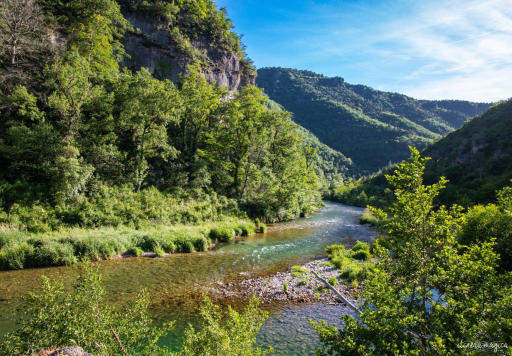 Découvrez les trois gorges sublimes de l'Aveyron : le Tarn, la Dourbie et la Jonte